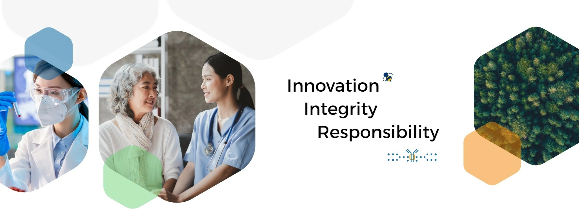 Innovation Integrity Responsibility