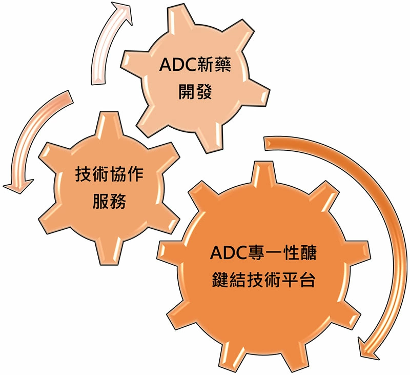 關於嘉正 關於嘉正